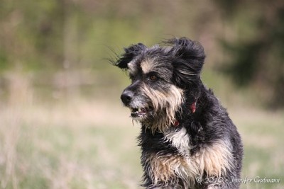 bea_Girlfriends_19.04.2010 (85).jpg