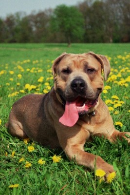 20A_00054 - Kopie.jpg (150.58 KiB) 9351-mal betrachtet 20A_00054 - Kopie.jpg