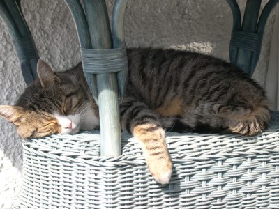 DSCN0283.JPG