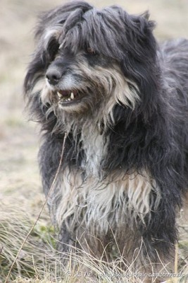 Girlfriends 22.03.10 (24).jpg (56.58 KiB) 1728-mal betrachtet Girlfriends 22.03.10 (24).jpg