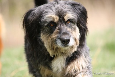 bea_Girlfriends_19.04.2010 (39).jpg (37.79 KiB) 1718-mal betrachtet bea_Girlfriends_19.04.2010 (39).jpg