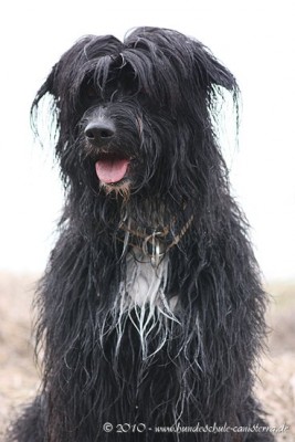 Girlfriends 22.03.10 (41).jpg (46.04 KiB) 1723-mal betrachtet Girlfriends 22.03.10 (41).jpg