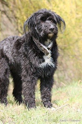 bea_Girlfriends_19.04.2010 (40).jpg (67.22 KiB) 1720-mal betrachtet bea_Girlfriends_19.04.2010 (40).jpg