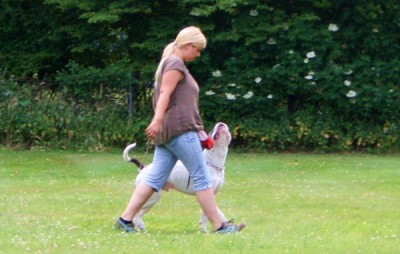 IMG_2435.JPG