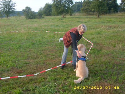 longieren 007.jpg