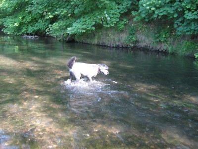 IMG_2587.JPG