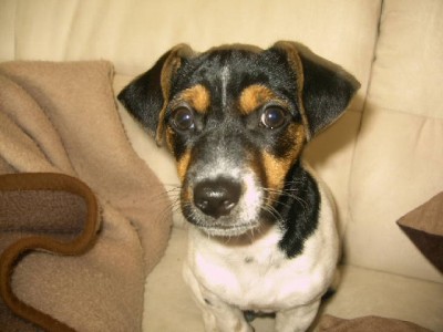 niki 038.jpg (75 KiB) 3419-mal betrachtet niki 038.jpg