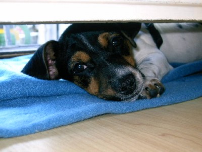 niki 043.jpg (75 KiB) 3423-mal betrachtet niki 043.jpg