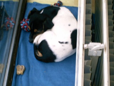 niki 049.jpg (75 KiB) 3419-mal betrachtet niki 049.jpg