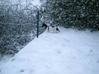 niki 052.jpg (75 KiB) 3423-mal betrachtet niki 052.jpg