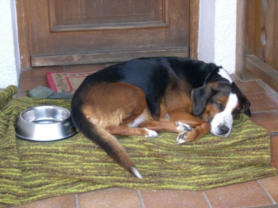 DSCN0300.JPG