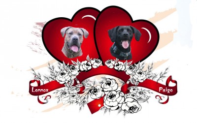 Paige und Lennox.jpg