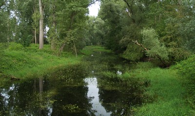 05.jpg