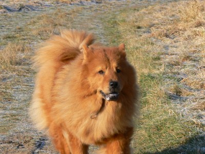 01 06 Smilla Silvester.jpg