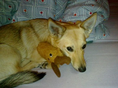 08082010333.jpg