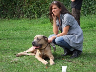 Antikdoggentreffen 2010 051 - Kopie.JPG