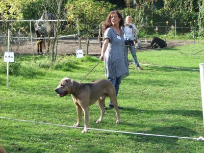 Antikdoggentreffen 2010 103 - Kopie.JPG