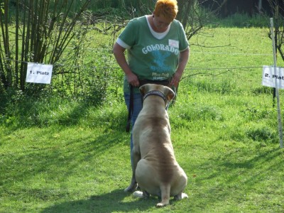 Antikdoggentreffen 2010 108 - Kopie.JPG