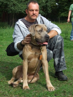 Antikdoggentreffen 2010 055 - Kopie.JPG