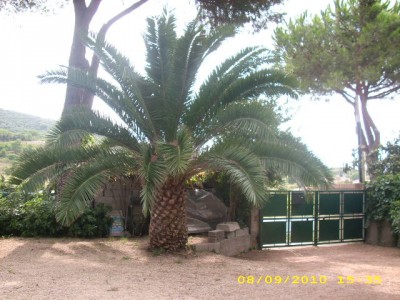 italia 2010 002.jpg