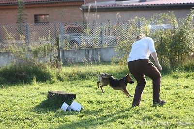 Forumstreffen Se (144).jpg