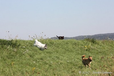 Forumstreffen Se (59).jpg