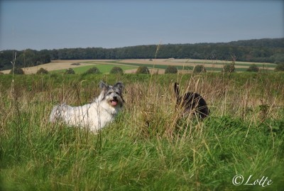 DSC_2440.JPG
