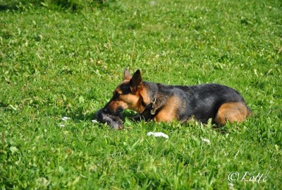 DSC_2508.JPG