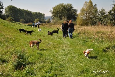 DSC_2493.JPG